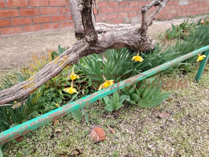 452c0b810a65f09c0d0ed5d778a2fd3549cf19e58823ad1fae61c53e6d46386e