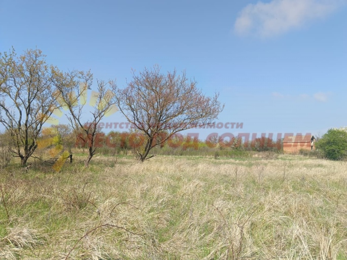 e2a6671b741c58f353bd1f6cc3455705556a36e33e86ec86ad5f52488517b981