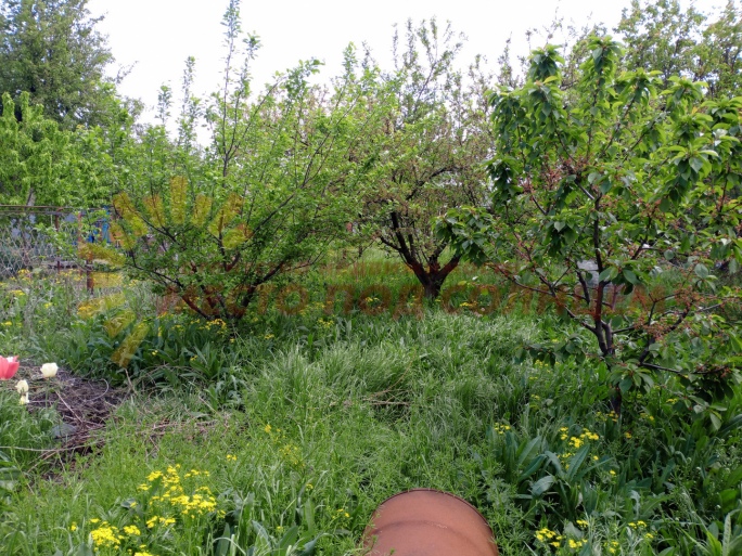 bce2bb85e5ab321005b8bedd1025648da5c6326603b8704cc43b067d750ce45c