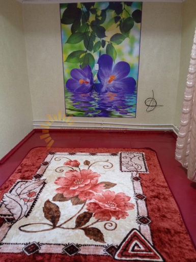 370c351437f2204cf367945a446fe44344bed7ae95224db67fbccdb3e5e65a6d