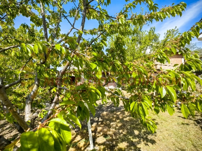 416ec364ccb151a22aac2073ee287fa61d029ba191d280a56ce45462145213e1