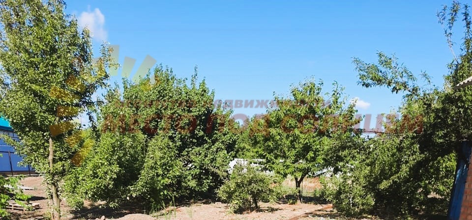 cbdd8693375218ecd12686c99310b2443dcd87f05f633cd3769a83fbb80921fb