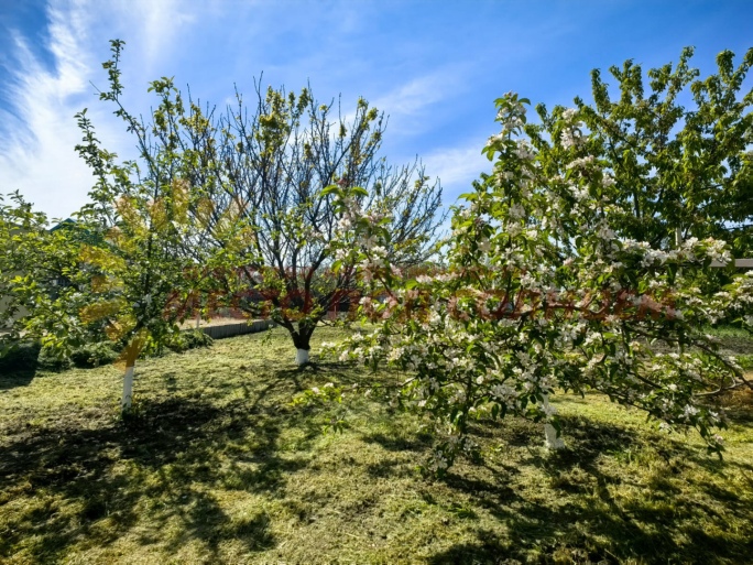 de34596ac81c574a0065508a4df1283dc4794391d498661fdf41a45013b0ce28