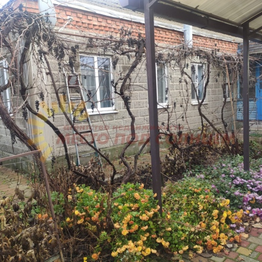 8e8a4ae281e6df5272d13c62308cec8f58639b533448d1dc5f3db16d45cb5fbb