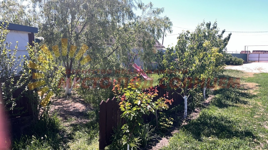 246262f82aba5fd1030480ae85eaea8a7a78353d7a1363ae0d9cb5b513cd86b5