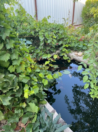 d73b5b7fbb6467820ea56c0d4307088e5391936d219625a41429a1d812bd0a8a