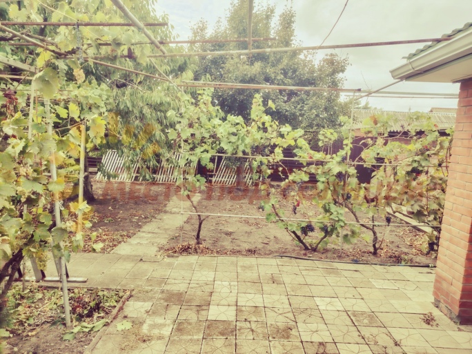 af3c33fd0348b7bc4d713d49c7d05cee8e3c021e5aafdc9868ab47b6d1f1a92d