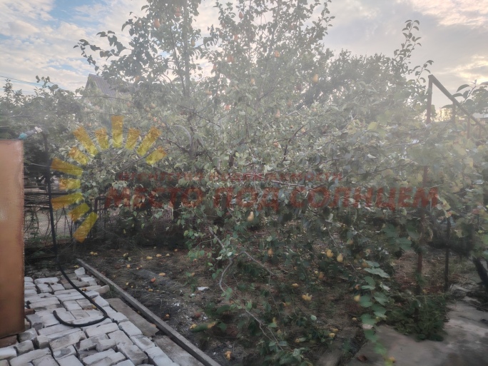 1709e3868609afb5bb1881cf960a4848ed4083e48a12bf95b9bcb6696ce28f00