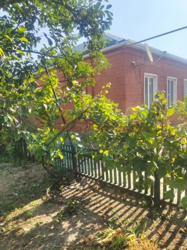 accc2e906552f5b5f8aa7fe6266707561ca8051b1c1e7f64dfacab2fd8e04d16