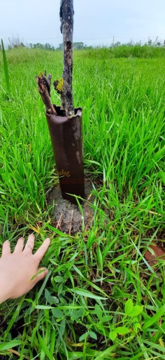 28b43575bc187b639aad91276edaa2ef0cb7df87c0e24a356a18e8550cc4bb08