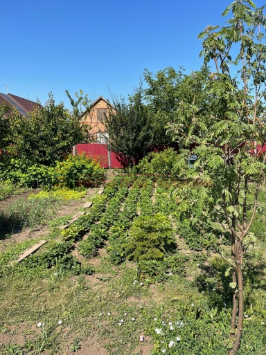 1abbd8a2cccc4b78dab92b42ca1b594a6570a4481d632957ac8bd6529ddd8929