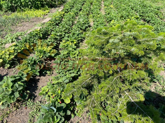 42c6c7e4b7468965db51efe3dfcc017a6749a2831910ec019849ff73308c6abe