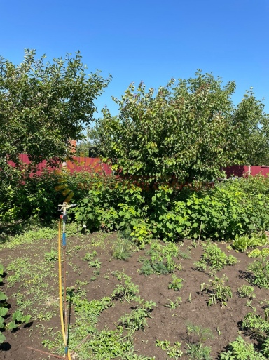 666a687e15f7cabb70b8f9903c0ef8a65c1228b71afed8f66171be35da5f68db