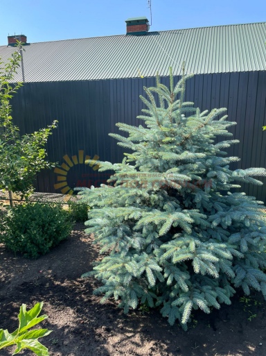 839a7602218a83790246dce8221e4c88cde751d68c9101ece96af405456bd60c