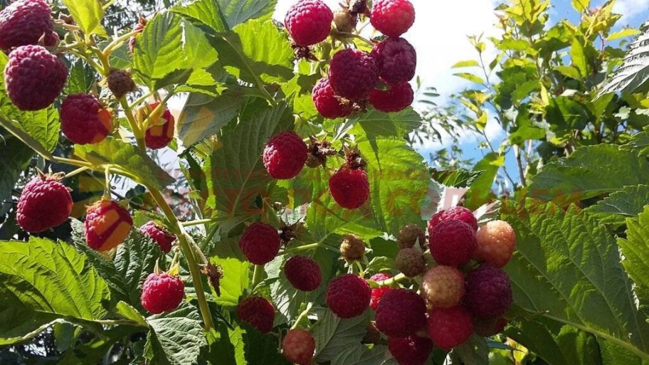 0580aca994de858bbd1ee9364ca841907a783487e3f90d99e460e18495f27096