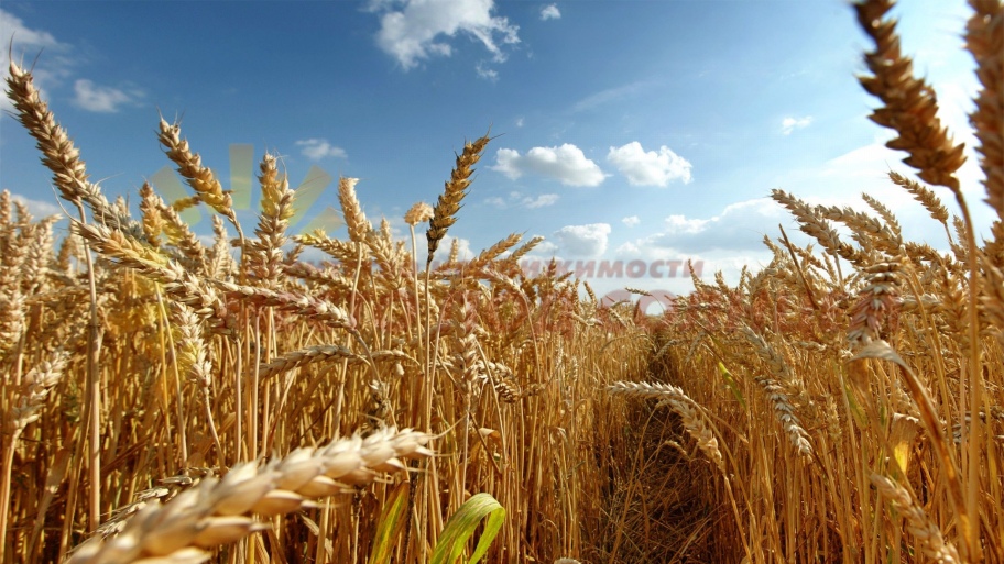 d2e584ad0c07ade076a8e3d32f84717e2390cb6899bd8487a559653cbd438e44