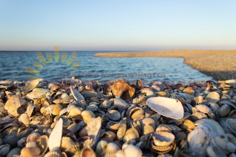 ea2ae97d68dc2c0fe117bff299935265ed8eb7ec4780c8d9b6da84819cd06a27