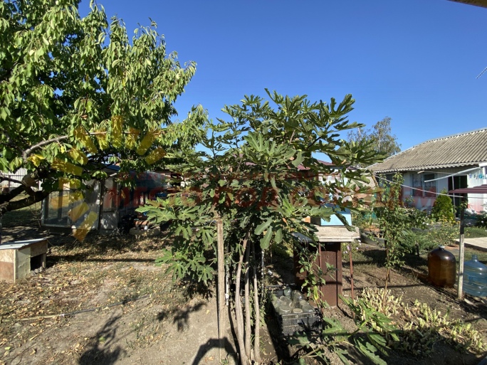 4772629b98ff3547b99ff1bfa2e5273ea7cb62137751567f367272b7104397fd