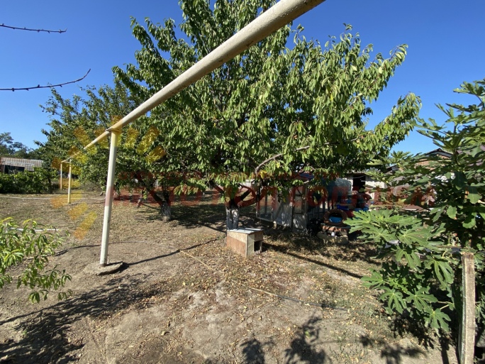 ff58a278b22bb5433c2bf5f1c88f18d4602c939ad0a8252966e762de366a17b3