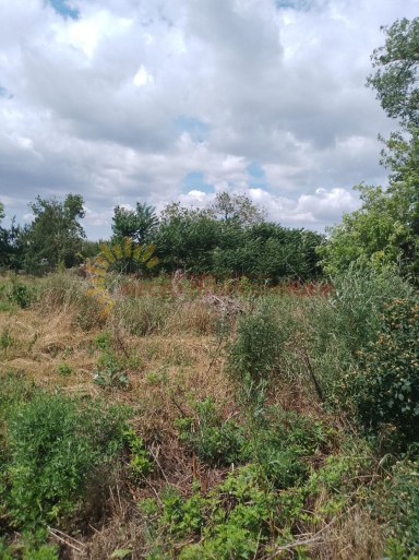 c3b49b59afbda7e3167981881caf605b90ff880551056e3db6663741620930e5