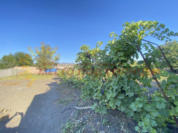 1e8f794f71fa27104e339f53981c02145850439d36bc24665d6a516deeda4fad