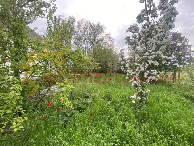 7e5846ba34b44fd5cf6d405a96e6974d4c18602014887b6696f5f45b73596fad