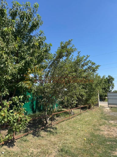 febbe90a0269bb2e29c51ed098996cc869fba0fa59937644051da94ec8783d41