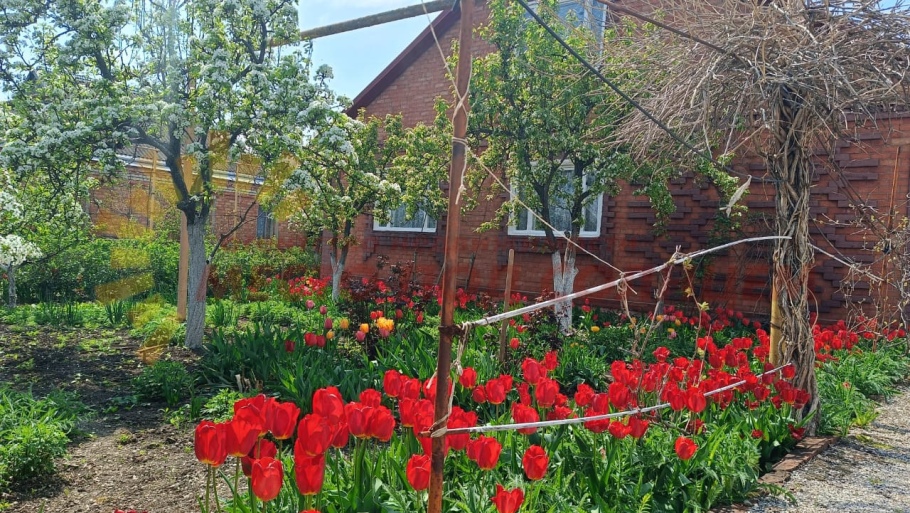 c859837c15300c6a254755eaeba7907d6d82156175c063a85e097fa158ac6fc7