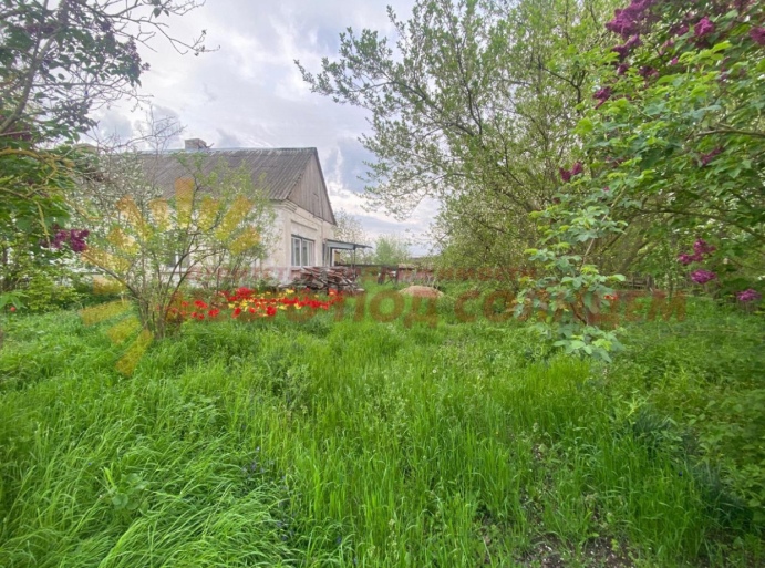 89415a129749b8fbf3c1bbc1dbf0d878796d55f03393e238f881292905c04c94