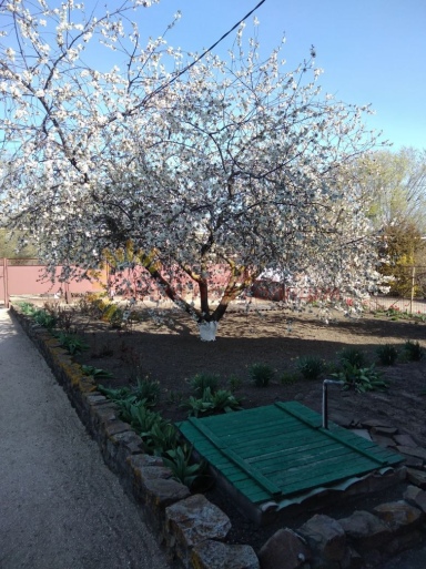 598532946255c0e416975edc66c518ed7bb941c40b8dc61c111d87fb5649af23