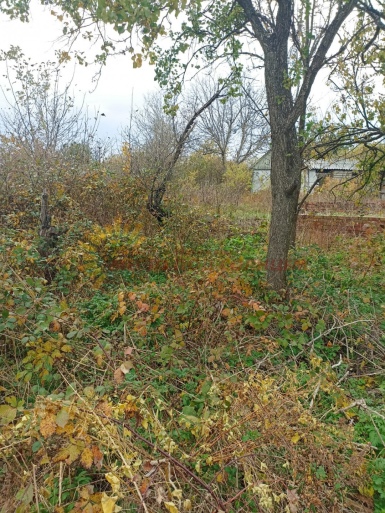 bf43bfcfac52322049324e5e330b9ddd2302793e95bac9fa73574214eaed423a