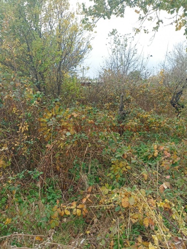 e7ff41a3bbb215e2dd0af1ff84f6ec1a7fa00b8db527448b6dec4312da68a24a