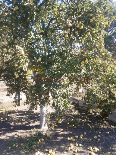 36ac170d6e420e91c24fa7c817c0f69e19576718c0bc28e45f7933d40eed8e4b