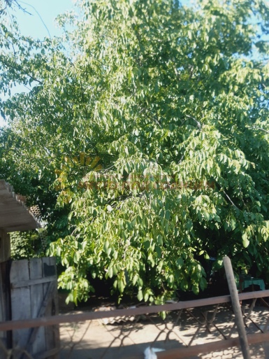 97391848e13fb862ff0c6069ed34adc891cbd7dff6a54227fb2ee70a8d21d039