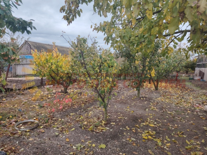 902efed142a4ec0ff6b7b295fdcd5959aba47bc89eea5f65a486475f7bcdc7cf