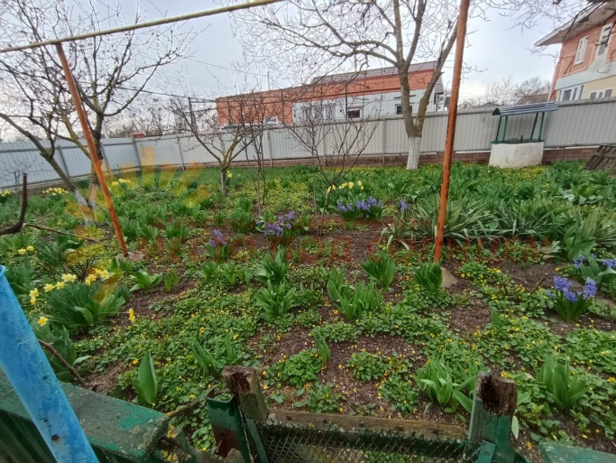 531234e7ef28e4c135d681f1bf2f1c3ca8467218c608b8857bbf028d886c57ba