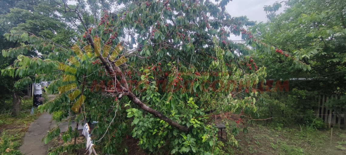 e9bafdb7cb50d25b670927d8e0433ffbd04327880ef1b531a443dc4664d55899