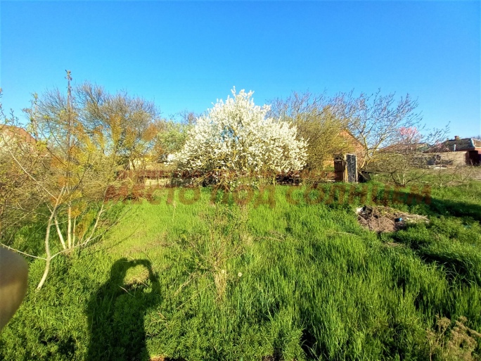 1d0e3deedd772f4d6da30094b680c6d2c1d10bd36103caf271ccad81ccb36984