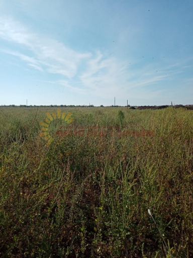 9e958aa99086ab9afac6161d22496ef7cd8a05003ae6fe6d77d9e40478aab34b