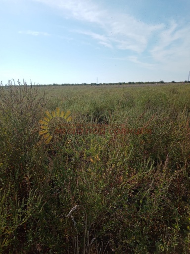 c5d279034356ed271888b971caac31545fa8a4667722c48f3fc34ae820fd0be3