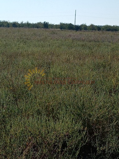 e404147572fb22999a4222cf87c7f9e30a1c25b37dff619bcc8b1a4666e77f81