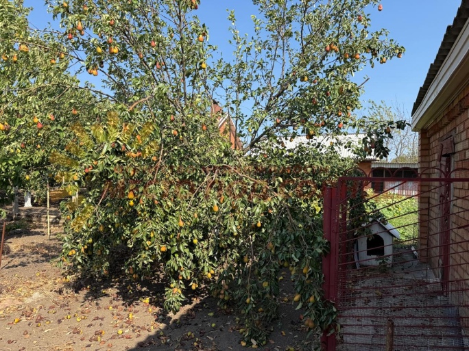 8e2df80f3c9141c05bea7c3240c9f8b39629c90a4deaa376348fdfd8bedf312c