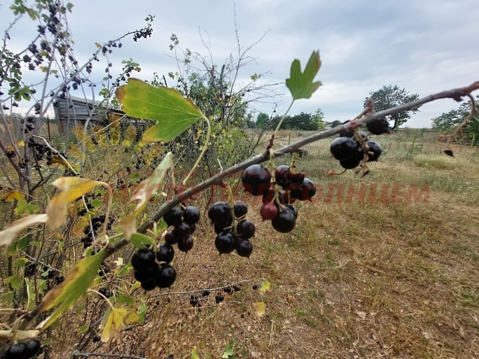 c0bb0b0217af20716dc554ce32ef093630b6237e4555c786ac9ee916384ee05a