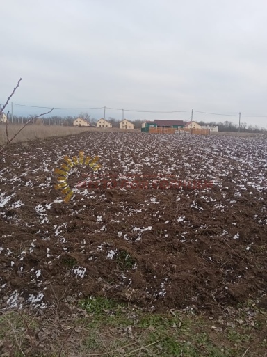 d3021d5bc4fc78cd5aeaf3582d027596948cd8c3353c95dd8038d84088866132