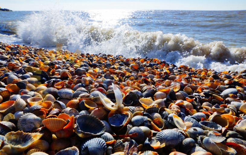 459f10474d8eabb05d71b94fd67439d78f5fb4bad9558caaca5762e201e6c91c