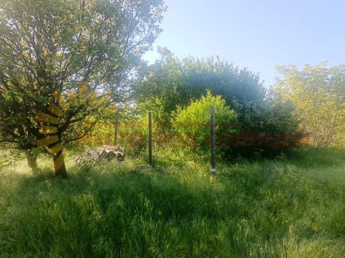 5472207a9c4473edde0eeefb16022004bc198068905a74bc4ef58b50586b7aae