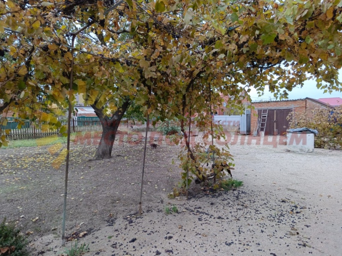 1c8d9a14d2605748cbeb661bd3e437e0753566832deefc5b535452f96968545e