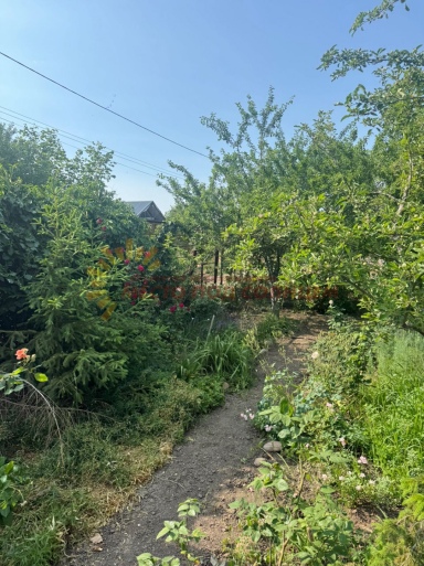 0870c88a33bafd06f1dc8ec5904d45adcc2398b2b76f2580e5d1a2768f7906ca