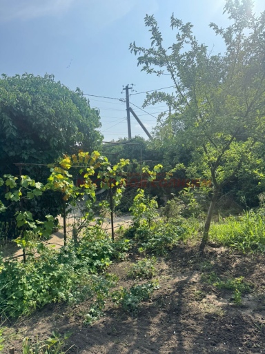 0edc0c2b37ada82c3b4facb36697a69b7241ac44c89de609915a3308d6d50f71