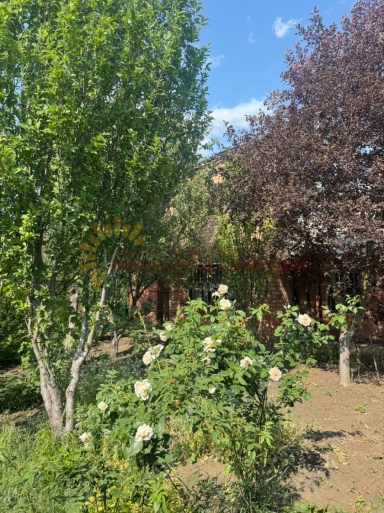 14473f587c7c2e8d7069cca96460d3b207fcfa155147bd5f6a5e8d65bd216a02